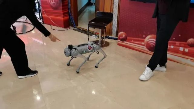 聚焦二十大，各广电推出了哪些融媒体作品？