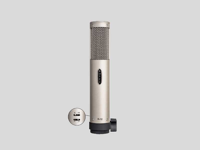 Royer Labs R-12 铝带麦克风
